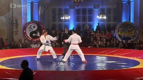 Bojové sporty - Noc mistrů 2014