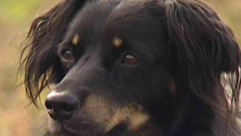 Chcete mě? - Chcete je?