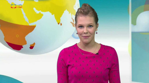 Zprávičky - 23. listopadu 2016