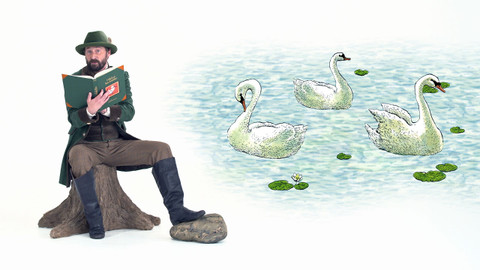 Pohádky Hanse Christiana Andersena - 1/10 Ošklivé kachňátko