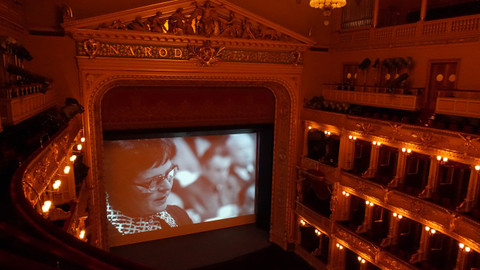 Anticharta, mechanismus loajality