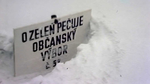 Archiv dne - 29. leden 1981: Můj domov