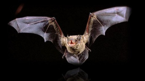 PORT - 7. října 2011