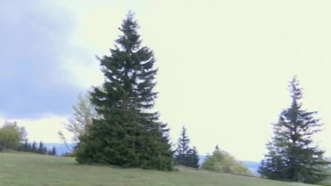 Toulavá kamera - 30. června 2013