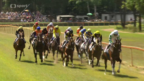 Dostihy - Memoriál Evy Palyzové