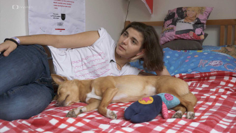 PROFIL - Kateřina Turečková