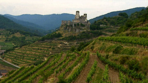 Putování za vínem - 2/15 Wachau, Kremstal