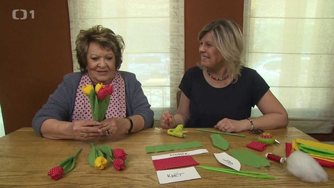 Hobby naší doby - 22. června 2019