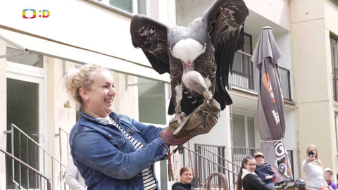 Zprávičky - 6. května