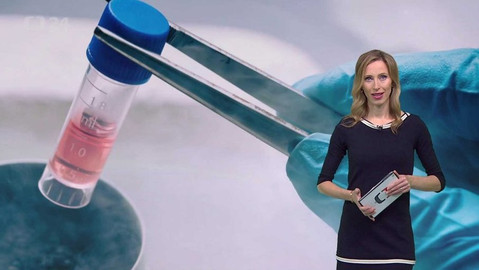 Horizont ČT24 - 3. února 2019