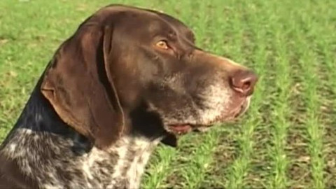 Tisíc let české myslivosti - 4. února 2010