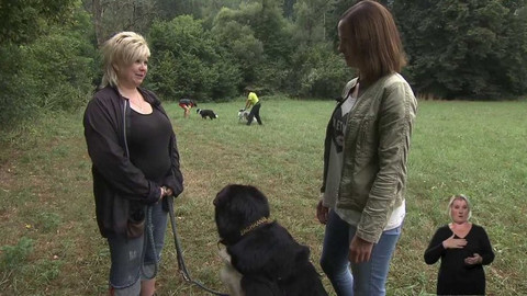 Chcete mě? - 6. září 2015