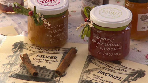 Týden v regionech (Brno) - 21. dubna 2018