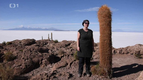 Objektiv - 27. května 2018