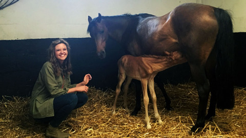 Můj mazlíček a já - 8/25 Poníci Twiggy a Tom