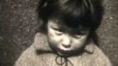 Soukromé století - Mávnutí motýlích křídel