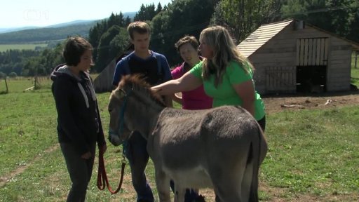 Malá farma - Videopříběh – Jak vycvičit osla 1