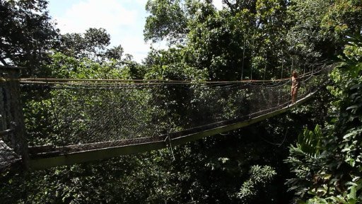 Trabantem Jižní Amerikou - Procházka v korunách stromů