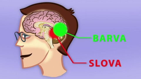 Nejchytřejší Čech - Barvy