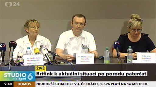 Paterčata - Brífink po porodu paterčat