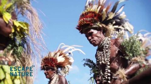 Útěky do přírody - Trailer