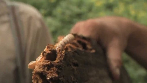 Dovolená v Protektorátu - Videobonus: Receptář Honzy Dočekala