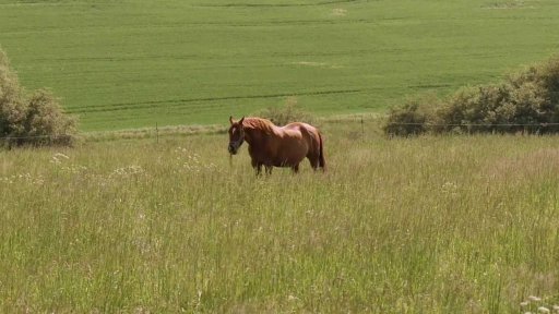 Cesta do Říma - Trailer