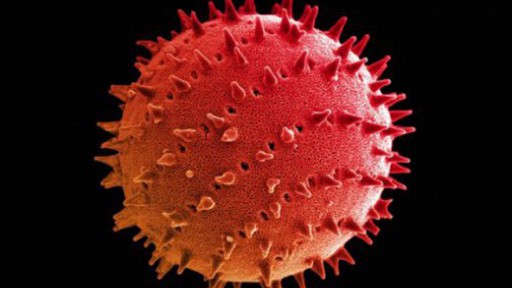 Televizní akademie - Pozvánka do fascinujícího mikrosvěta