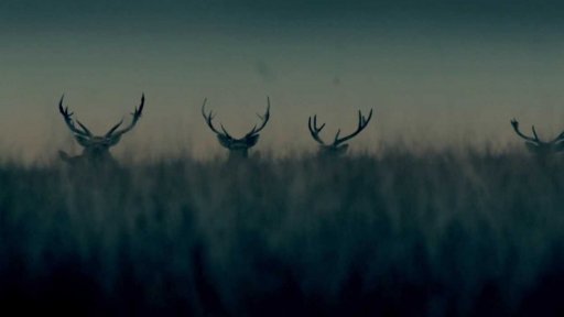 Přes kosti mrtvých - Trailer