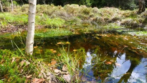 Krajinou domova - Sucho - protieroze