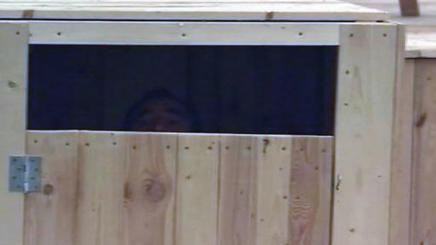 Muži v říji - Ukázka č. 1