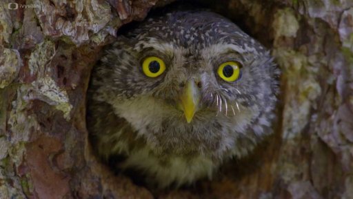 Planeta Česko - Trailer k filmu Planeta Česko