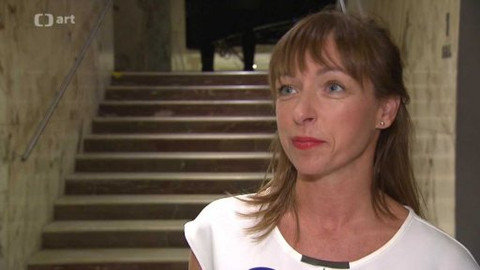 Dívka za zrcadlem - O čem je Dívka za zrcadlem?