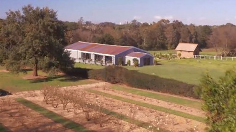 Peče celá země - Bake Off ve světě