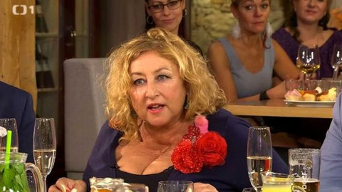 Do roka a do dna - Halina Pawlowská