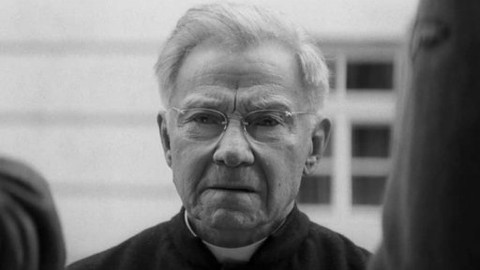 Nabarvené ptáče - Teaser