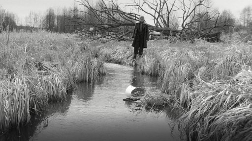 Nabarvené ptáče - Trailer