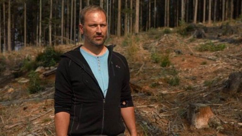 Zelené plíce - Zajímavosti o kůrovci