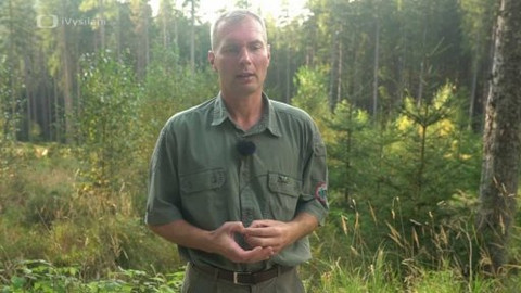 Zelené plíce - Péčí o les k vyšší odolnosti