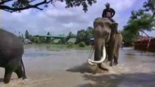 Turbulence - Co se do pořadu nevešlo