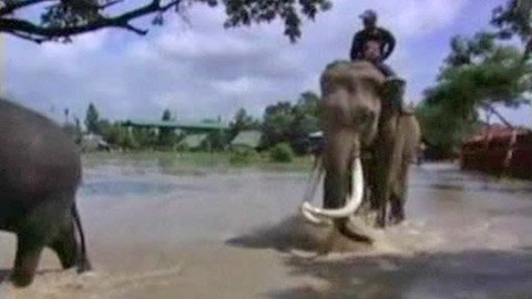 Turbulence - Co se do pořadu nevešlo