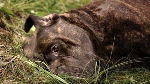 Rodina je základ státu - Ukázka 3