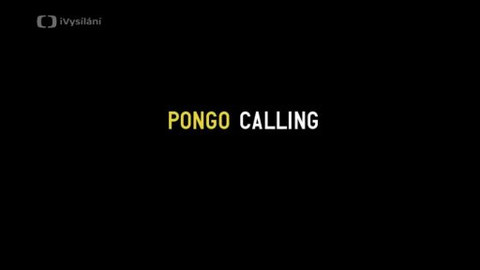Pongo Calling - Trailer
