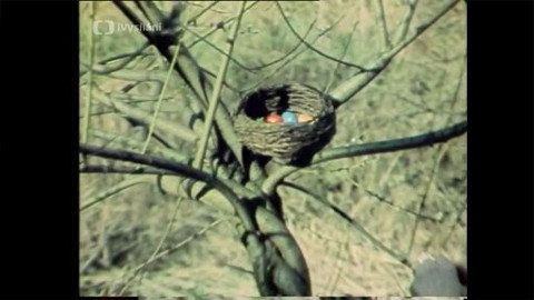 Redaktoři - Redaktoři: Jindřich Honzík – Pomlázkovník