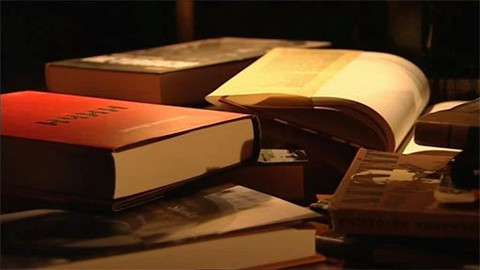 Heydrich - konečné řešení - Próza a román