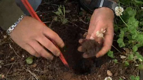 Na cestě - Lanýží farma v Tasmánii