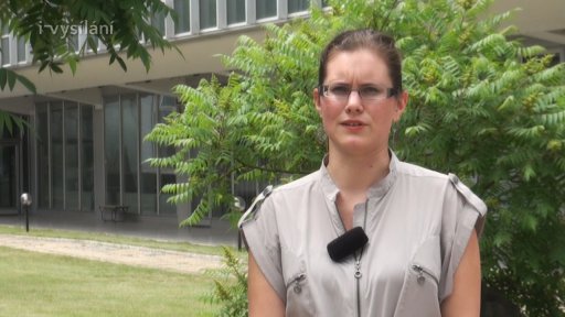 Rocco a jeho bratři - Rocco a jeho bratři očima Kláry Mathé