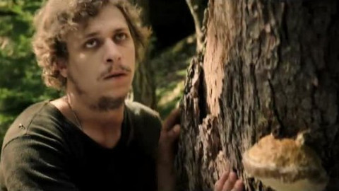 Cesta do lesa - Teaser