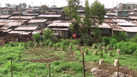 Proč chudoba? - Morris’ Bag (Michele Mellara & Alessandro Rossi / Keňa)