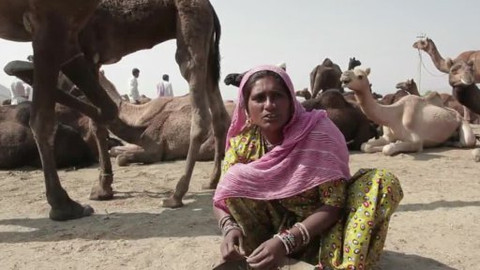 Proč chudoba? - Poop On Poverty (Vijay Jodha / Indie)